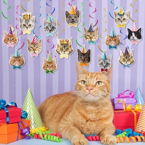 Cat themed party decorations featuring assorted feline faces with spiral swirls and party hats