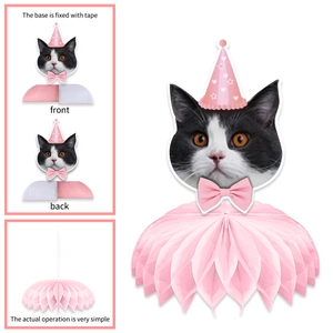 Detailed assembly steps of pink cat honeycomb centerpiece with front and back base views