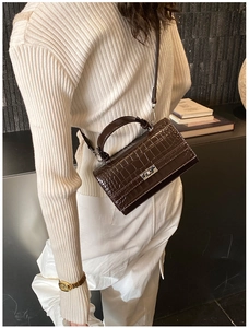 Detail of dark brown crocodile embossed crossbody bag with metallic silver twist lock