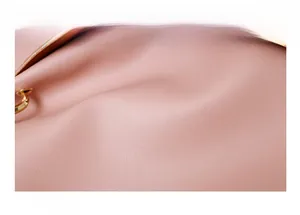 Dettaglio della trama in pelle a righe rosa con fibbia in metallo dorato borsa