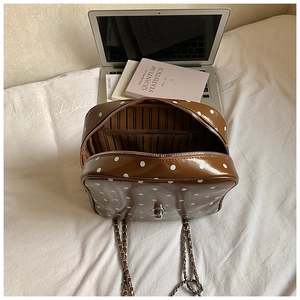 Detailed interior of a brown polka dot chain bag with metal clasp and striped lining