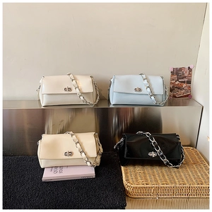 Details eleganter Taschen mit Metallringverschluss und silberner Gliederkette