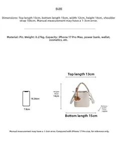 Detailed size chart showing dimensions and capacity of the mini woven bucket handbag