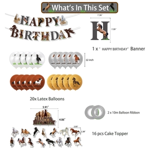 Horse theme birthday party kit with happy birthday banner, latex balloons, and cake toppers
