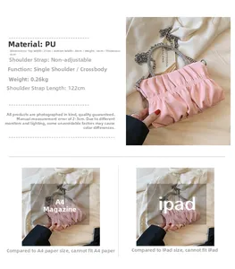 Pink pleated cloud bag size details showing 21x20x14cm dimensions and chain strap