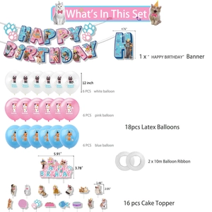 Cat themed birthday party kit with Happy Birthday banner, balloons and cake toppers