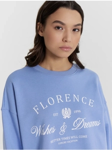 Detail of light blue sweatshirt featuring vintage college style letter print and crest