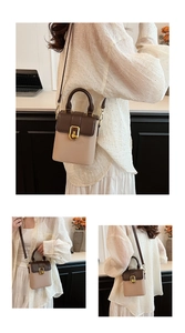 Vues détaillées du mini sac vintage en beige et marron avec bandoulière et fermoir