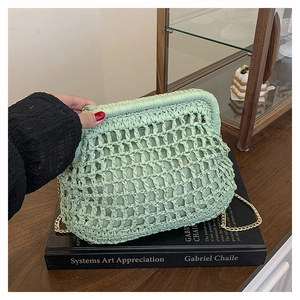 Macro shot of light green woven mesh clutch with vintage gold metal frame and chain