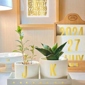 Close-up of white ceramic planters with gold J and K letter decals and green plants