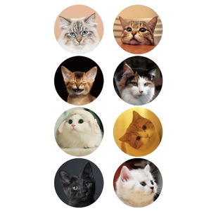Roll of 1000 pieces of 3.8cm round stickers featuring 8 different cute cat patterns