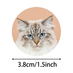 3.8cm round cat face thank you sticker for kids toys with cute blue-eyed kitten design
