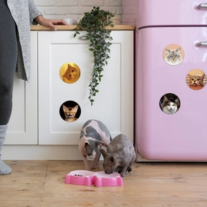 Close-up of assorted cute cat stickers applied to kitchen cabinets and a pink fridge