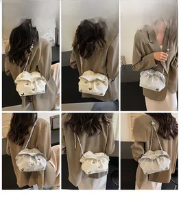 Detailed views of a trendy pleated cloud bag with butterfly embroidery and silver chain