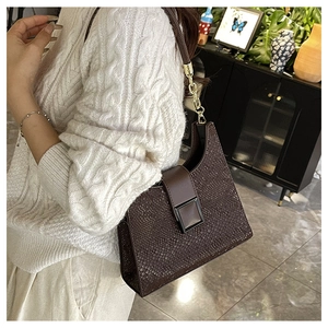 Détails de la texture serpent marron foncé et de la bandoulière en chaîne dorée du sac