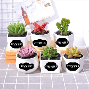 Roll of waterproof removable blackboard labels on white ceramic pots with succulents