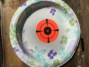 Close-up of a splash reactive target sticker on a floral paper plate outdoors