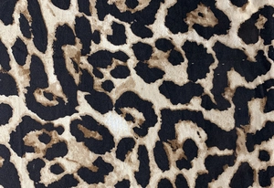 Detailaufnahme des Leopardenmusters auf dem sommerlichen Kleid mit V-Ausschnitt