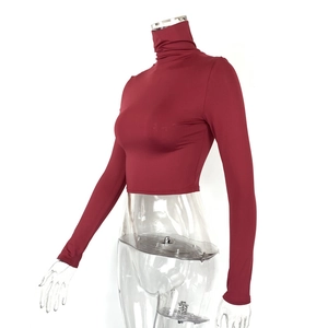 Close-up of slim fit high-neck long sleeve crop top in burgundy with elastic fabric