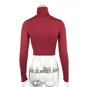 Rear view of a slim fit burgundy long sleeve turtleneck crop top on a clear torso