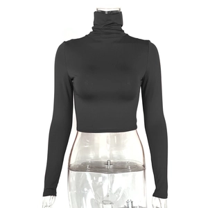 Detailed front view of women's black slim fit turtleneck crop top on a clear mannequin