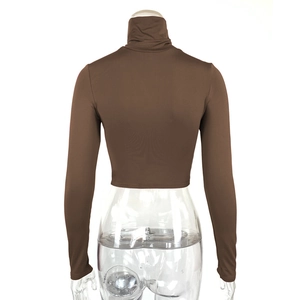 Detail view of the slim-fit brown crop top featuring a turtleneck and long sleeves from behind