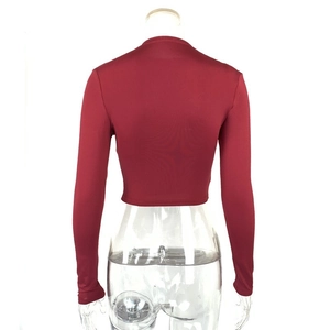 Vue arrière du crop top moulant rouge foncé avec col montant et manches longues