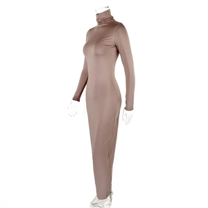 Detail shot of sleek high neck and long sleeve design on slim-fit brown maxi dress
