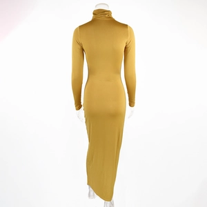 Detail of mustard yellow turtleneck dress with slim fit back view on mannequin