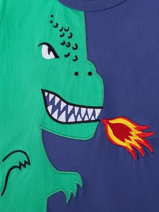Boys summer cotton set with dinosaur embroidery and two-tone color block design