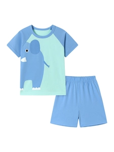 Ensemble d'été en coton pour garçon avec t-shirt raglan à éléphant et short vert menthe
