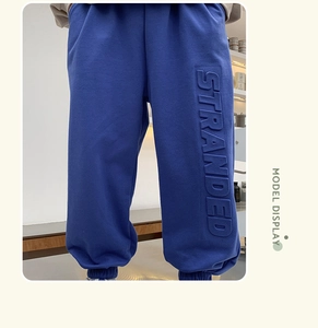 Macro detail of royal blue joggers featuring embossed STRANDED lettering and ribbed cuffs