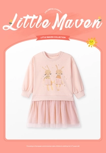 Robe en tulle rose pour filles 2-7 ans avec motif lapin cartoon et jupe en maille multicouche