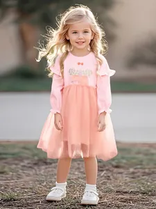 Robe Rose à Manches Longues pour Filles Broderie Papillon Patchwork en Maille Épaule Volante Mignonne Automne Princesse Tenue