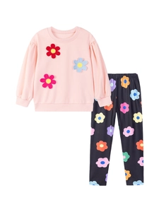 Pink toddler long sleeve sweatshirt with floral embroidery and matching printed leggings