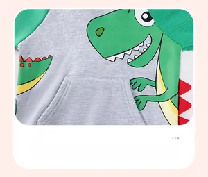 Detail of boys cartoon dinosaur hoodie with kangaroo pocket and green raglan sleeves