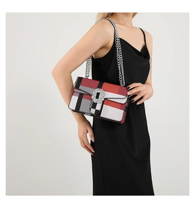 Close-up of a plaid crossbody bag with rhinestone buckle and silver double chain strap