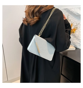 Detail of glittery silver chain crossbody bag with gold hardware worn by a model