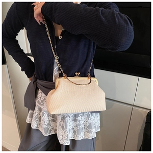 Détail du sac à main tissé crème avec fermoir à cadre doré et bandoulière chaîne