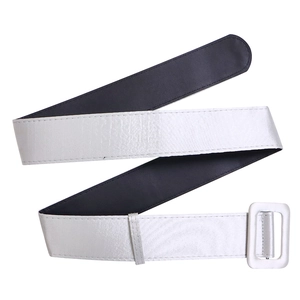 Detail of wide satin belt with silver metallic sheen and square fabric-covered buckle