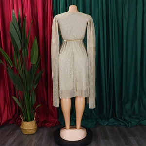 Detail view of champagne pleated cape sleeve dress with a slim gold belt on mannequin