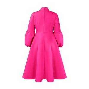 Detail view of the high waist A-line dress featuring puff sleeves and back zipper closure