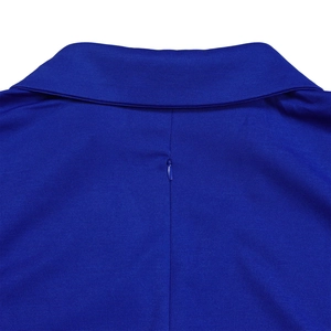 Detail eines königsblauen Kleides mit elegantem Reverskragen und nahtlosem Rückenzipper