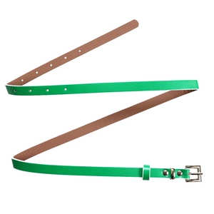Detail of green women's belt with silver buckle and brown lining on a white background