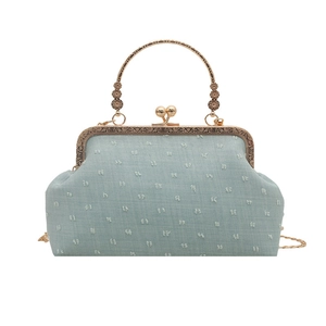 Retro light blue textured shell bag with vintage gold frame and chain strap