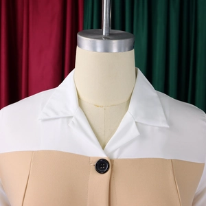 Detail of lapel collar and single black button on color-block business dress