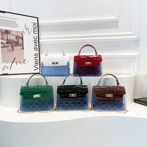 Chic transparent crossbody bag in multiple colors with faux crocodile leather and gold chain