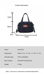 Detailed size chart for the mini washed denim pillow bag with measurements and strap info