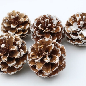 Five natural pine cones with white snow effect tips for festive Christmas tree decoration