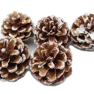Set of five natural pine cones with white snow effect for Christmas tree decorations